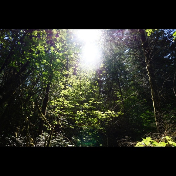 Meet your Posher, Karsyn - Picture 1 of 1